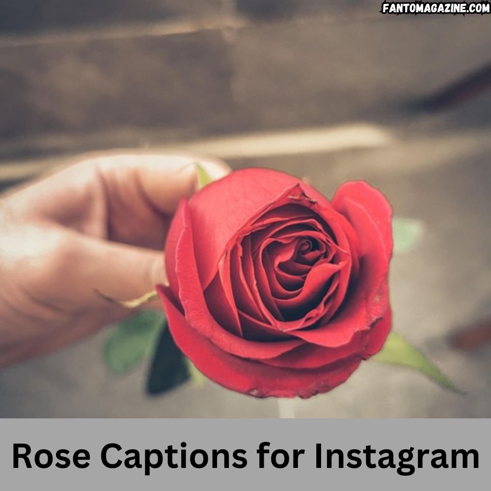 rose captions