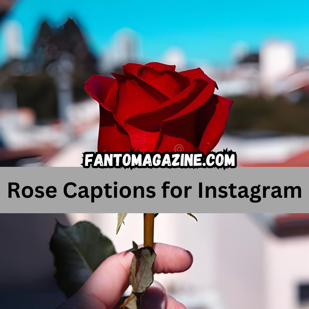 rose captions for instagram