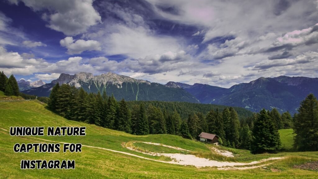 Unique Nature Captions for Instagram (1)