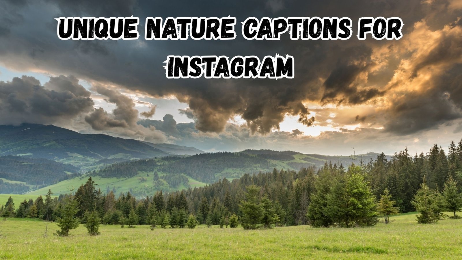 Unique Nature Captions for Instagram